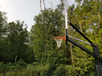 View of basketball hoop against green wooded backdrop behind court in Dartmouth, MA.