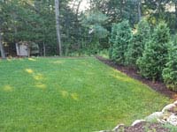 Lawn that was in place before building residential basketball court in shades of blue in Lexington, MA.